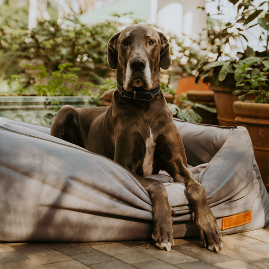 Huntlea Koletto Hi Side Kuddler Bed