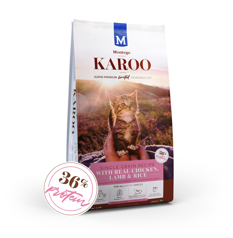 Montego Karoo Kitten Chicken&Lamb 2kg