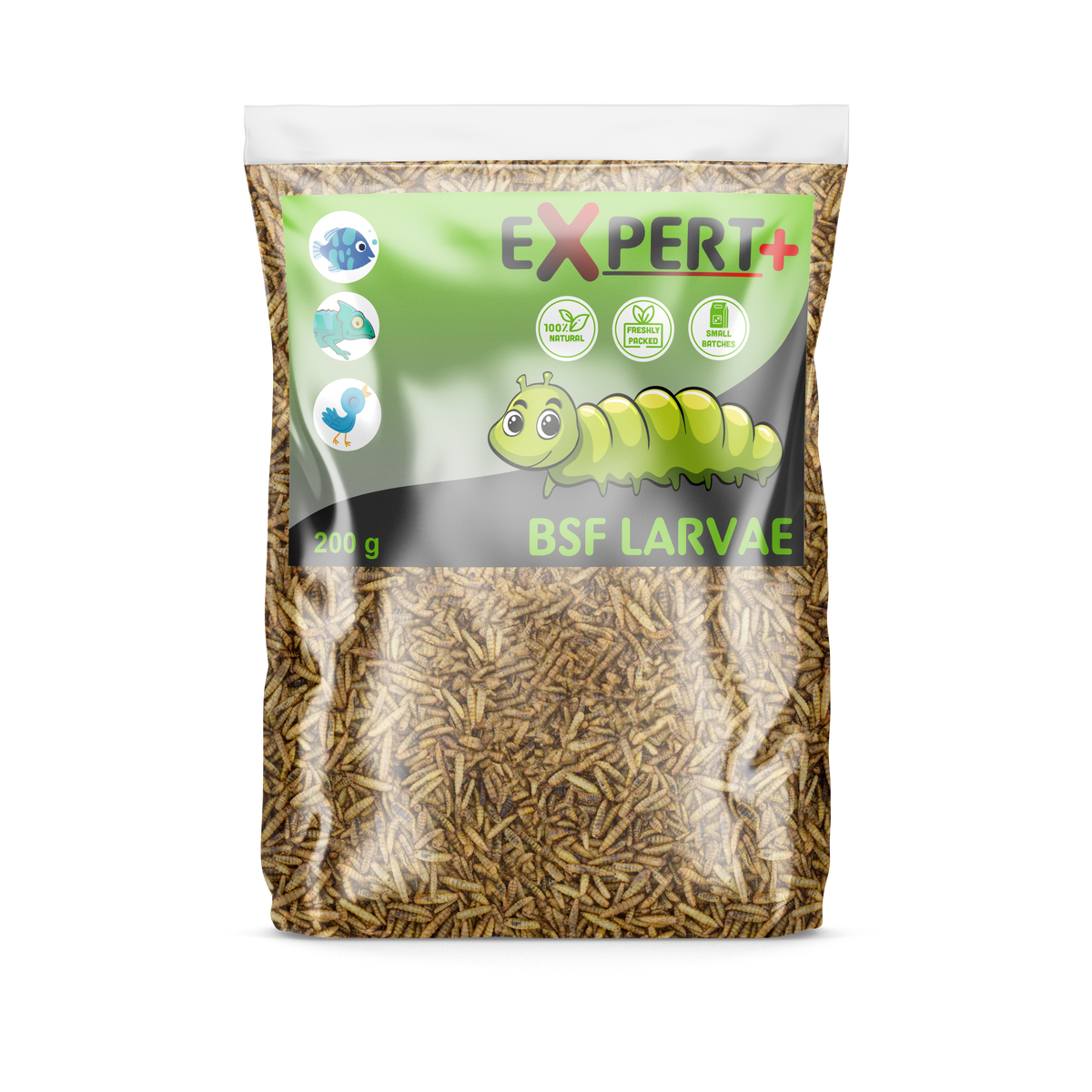 Expert+ BSF Larvae