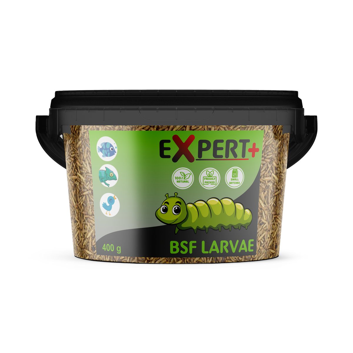 Expert+ BSF Larvae