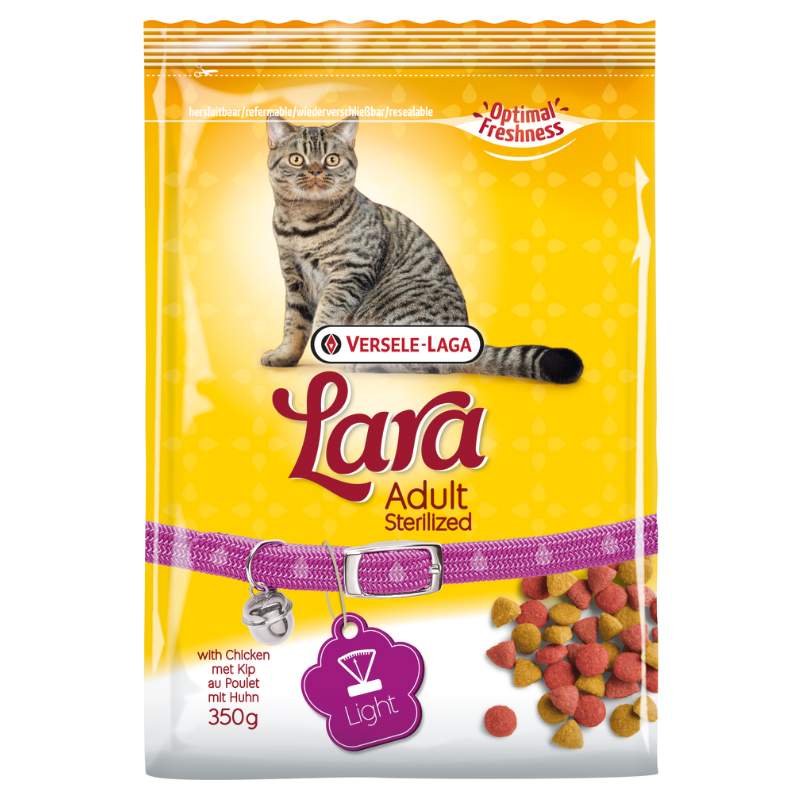 Lara Adult Sterilised