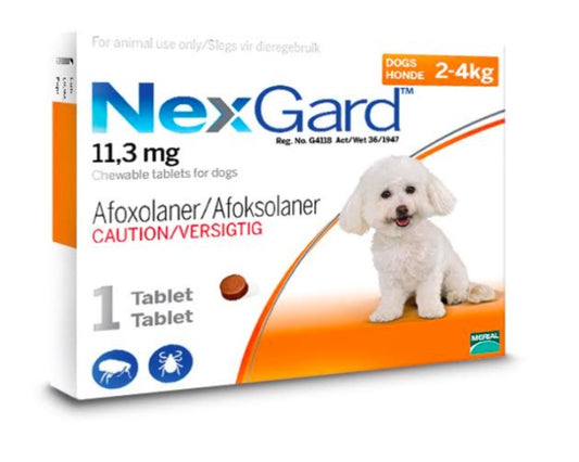 Nexguard Small Dog Health – Page 6 – Pet Box