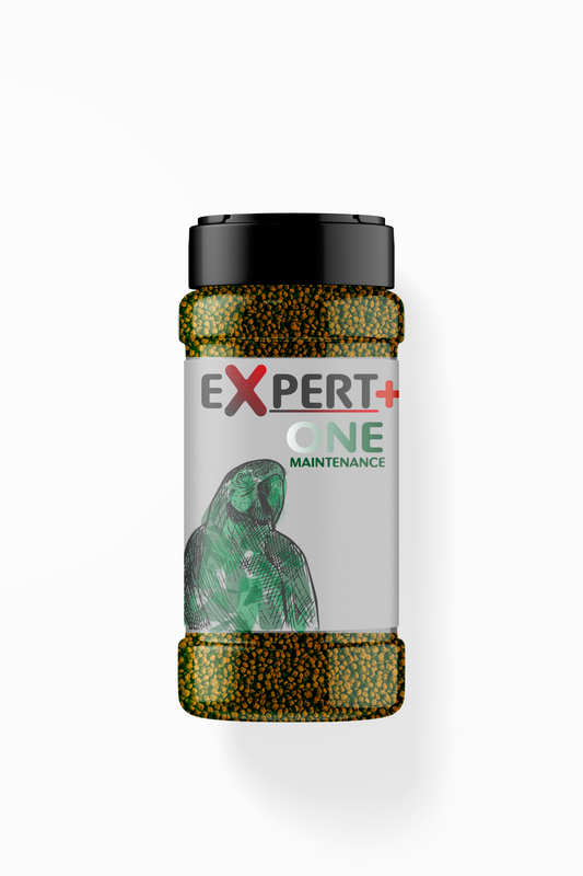 Expert+ Maintenance