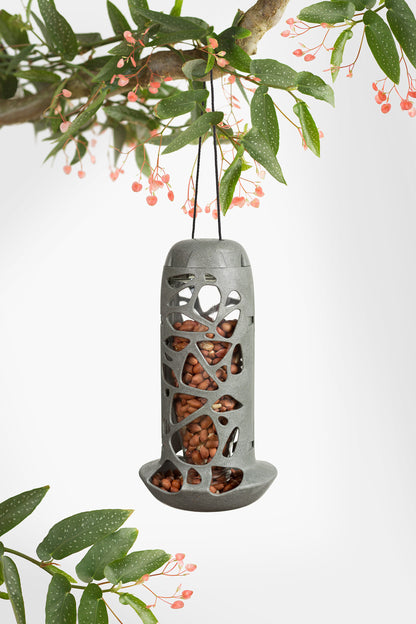 SF Bird Feeder Tara W/Bottle