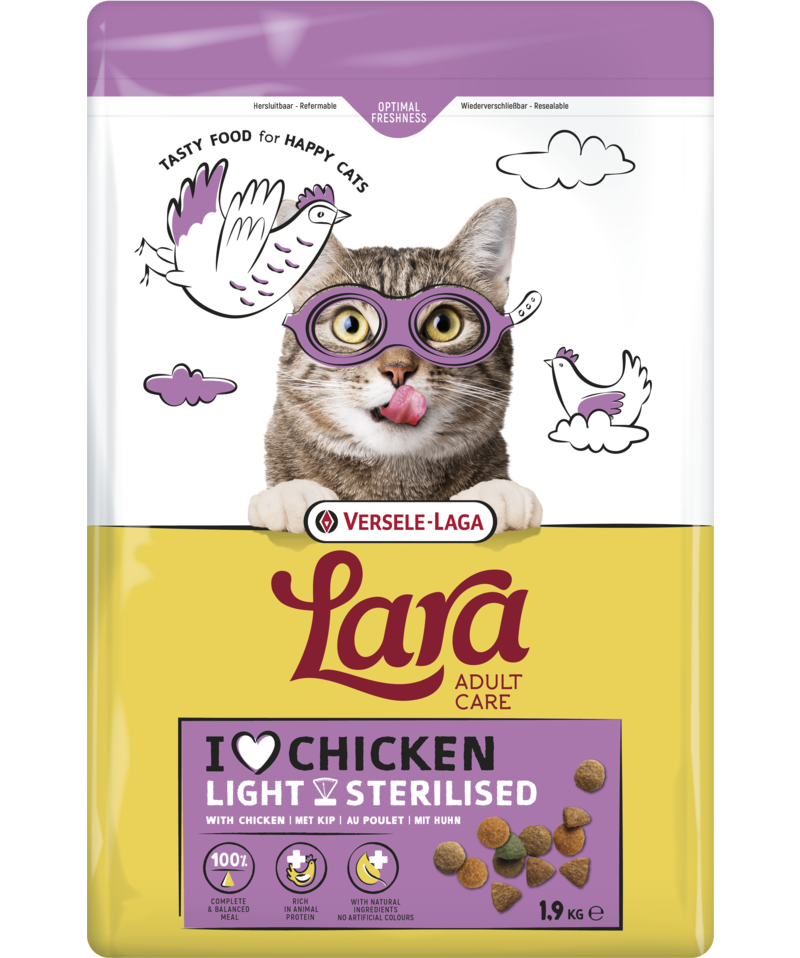 Lara Adult Sterilised