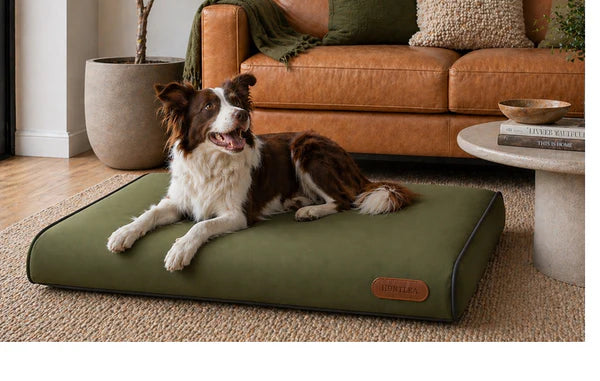 Huntlea Lounge Pad Dark Charcoal