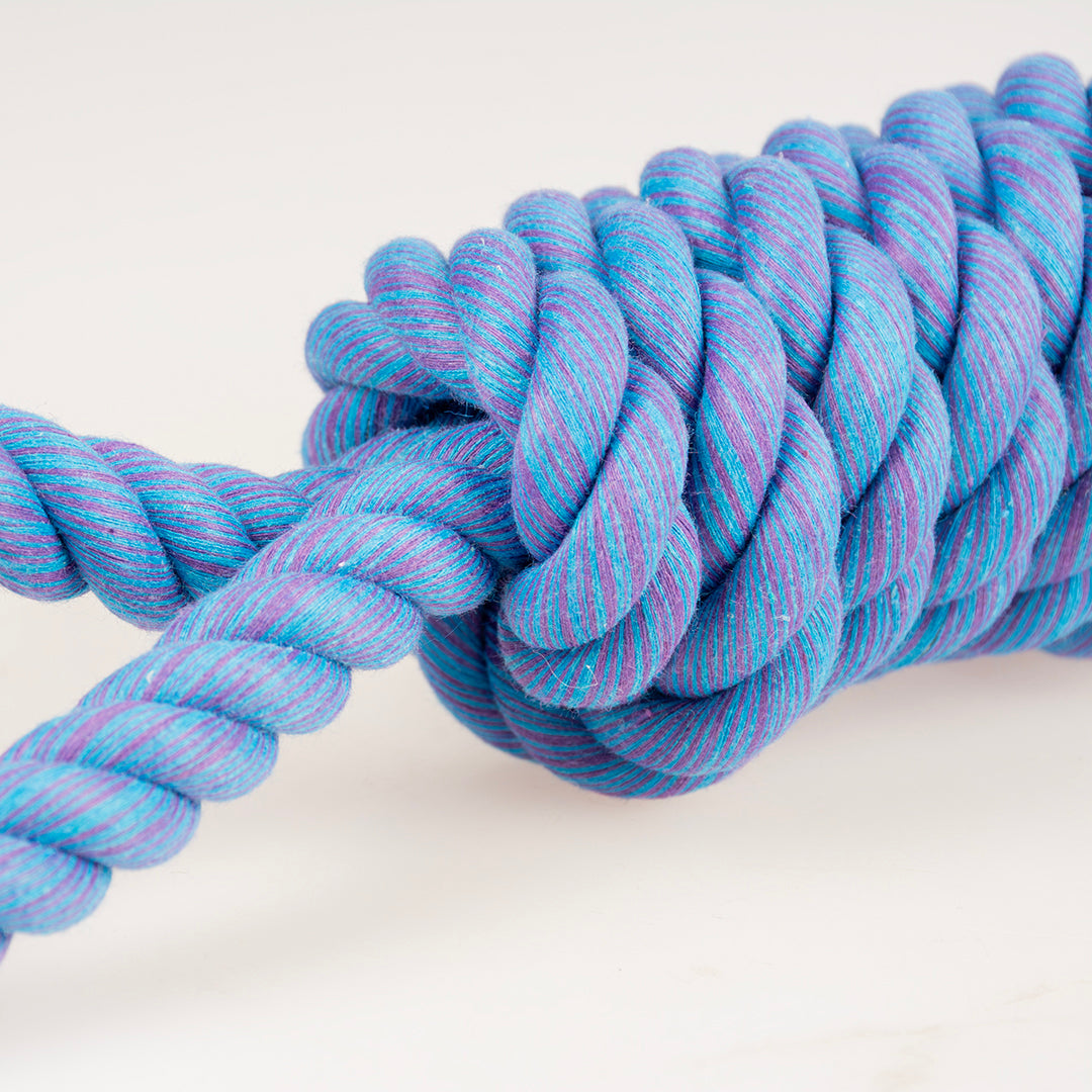 Ebi Rope Ebi Dog Toy Tug Life Rope 2 Loops Blue – Pet Box